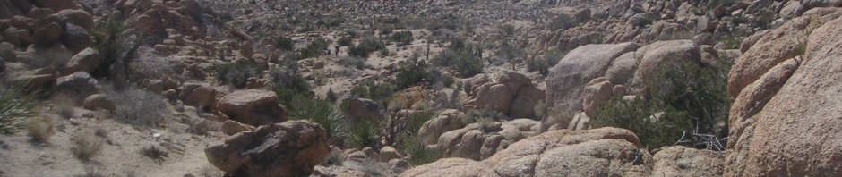 Joshua Tree Rocks