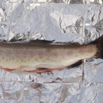 Raw Fish