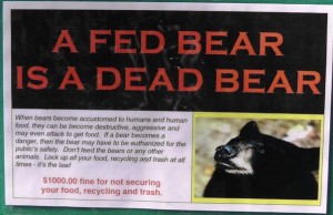 Bear Warning Sign
