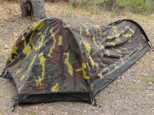 Camouflaged Tent