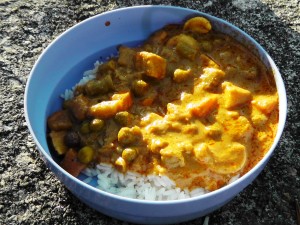Jaipur Veg Curry Dish