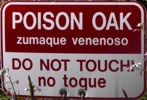 Warning Sign - Poison Oak